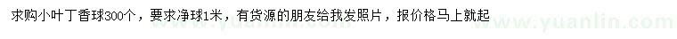 求購1米小葉丁香球