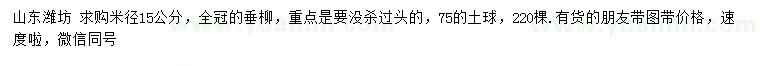 求購米徑15公分垂柳