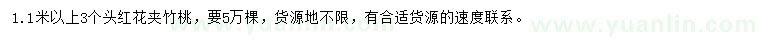 求購(gòu)1.1米以上紅花夾竹桃