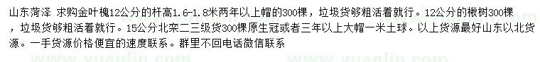 求購金葉槐、楸樹、北欒