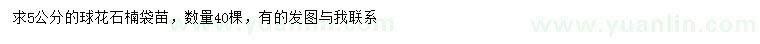 求購(gòu)5公分花石楠袋苗