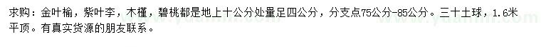 求購金葉榆、紫葉李、木槿等