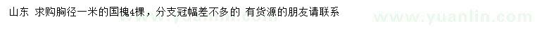 求購胸徑1米國槐