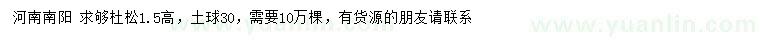 求購高1.5米杜松