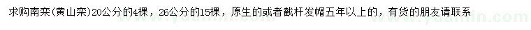 求購(gòu)20、26公分南欒（黃山欒）