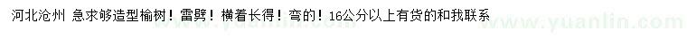 求購16公分以上造型榆樹