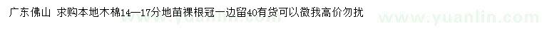 求購(gòu)14-17公分本地木棉地苗