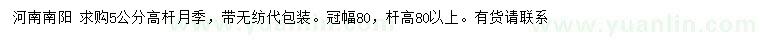 求購(gòu)5公分高桿月季