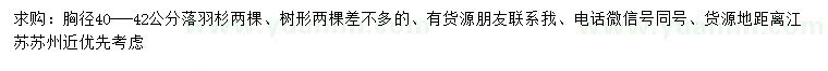 求購胸徑40-42公分落羽杉