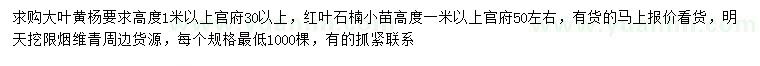 求購高度1米以上大葉黃楊、紅葉石楠小苗