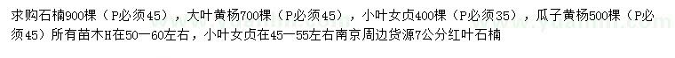 求購石楠、大葉黃楊、小葉女貞等