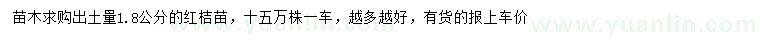 求購出土量1.8公分紅桔苗