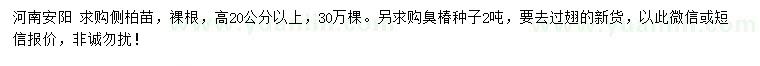 求購高20公分以上側柏苗
