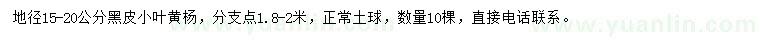 求購地徑15-20公分黑皮小葉黃楊