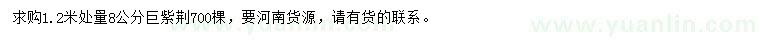 求購(gòu)1.2米處量8公分巨紫荊