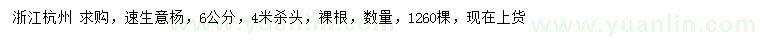 求購(gòu)6公分速生意楊