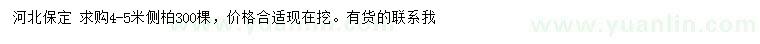 求購4-5米側(cè)柏