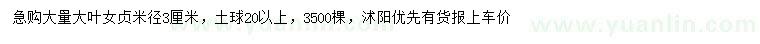 求購米徑3公分大葉女貞