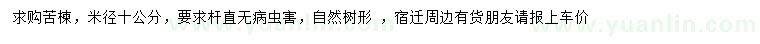 求購米徑10公分苦楝