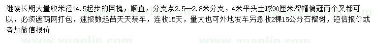 求購米徑14.5公分起步國槐、石榴