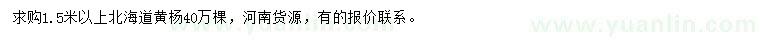求購1.5米以上北海道黃楊