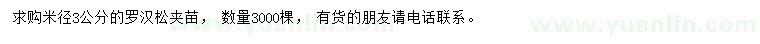 求購(gòu)米徑3公分羅漢松