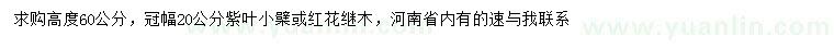 求購高度60公分紫葉小檗或紅花繼木