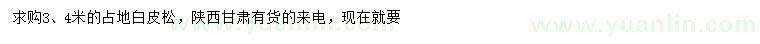 求購(gòu)3、4米占地白皮松