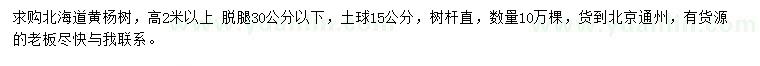 求購高2米以上北海道黃楊