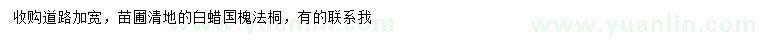 求購白蠟、國槐、法桐