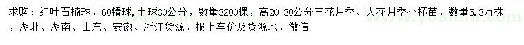 求購紅葉石楠球、豐花月季、大花月季