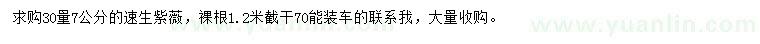 求購30量7公分速生紫薇