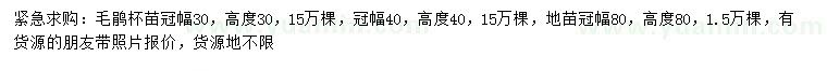 求購冠幅30、40、80公分毛鵑杯苗