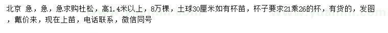 求購高1.4米以上杜松