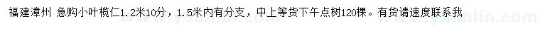求購1.2、1.5米小葉欖仁