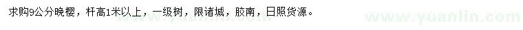 求購9公分晚櫻