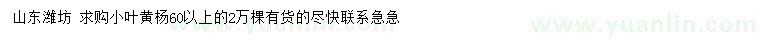 求購(gòu)60公分以上小葉黃楊