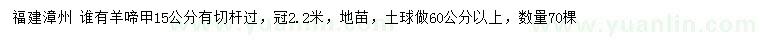 求購15公分羊啼甲
