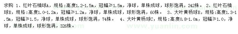 求購高1-1.2、1.2-1.5米紅葉石楠球、0.8-1、1.3-1.5米大葉黃楊球