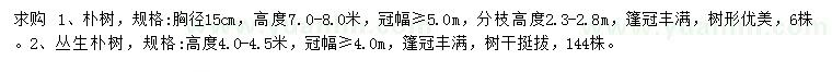 求購胸徑15公分樸樹、高4-4.5米叢生樸樹