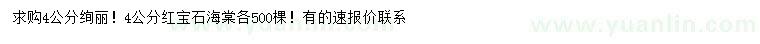 求購(gòu)4公分絢麗、紅寶石海棠
