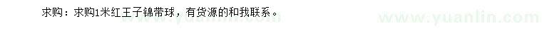 求購1米紅王子錦