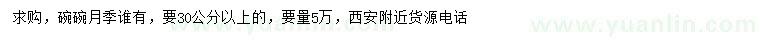 求購30公分以上月季
