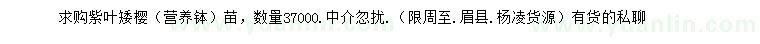 求購紫葉矮櫻苗