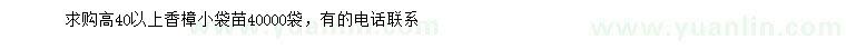 求購高40以上香樟小袋苗
