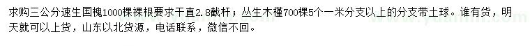 求購3公分速生國槐、叢生木槿