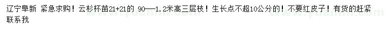 求購(gòu)高90-120公分云杉杯苗
