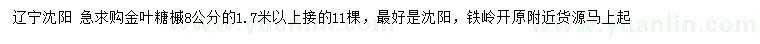 求購8公分金葉糖槭