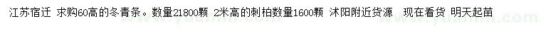 求購高60公分冬青條、高2米刺柏