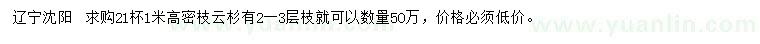 求購高1米密枝云杉